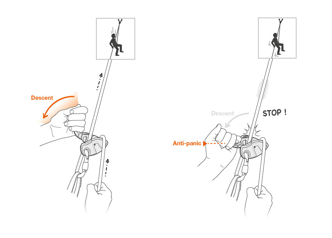 Petzl's Grigri +