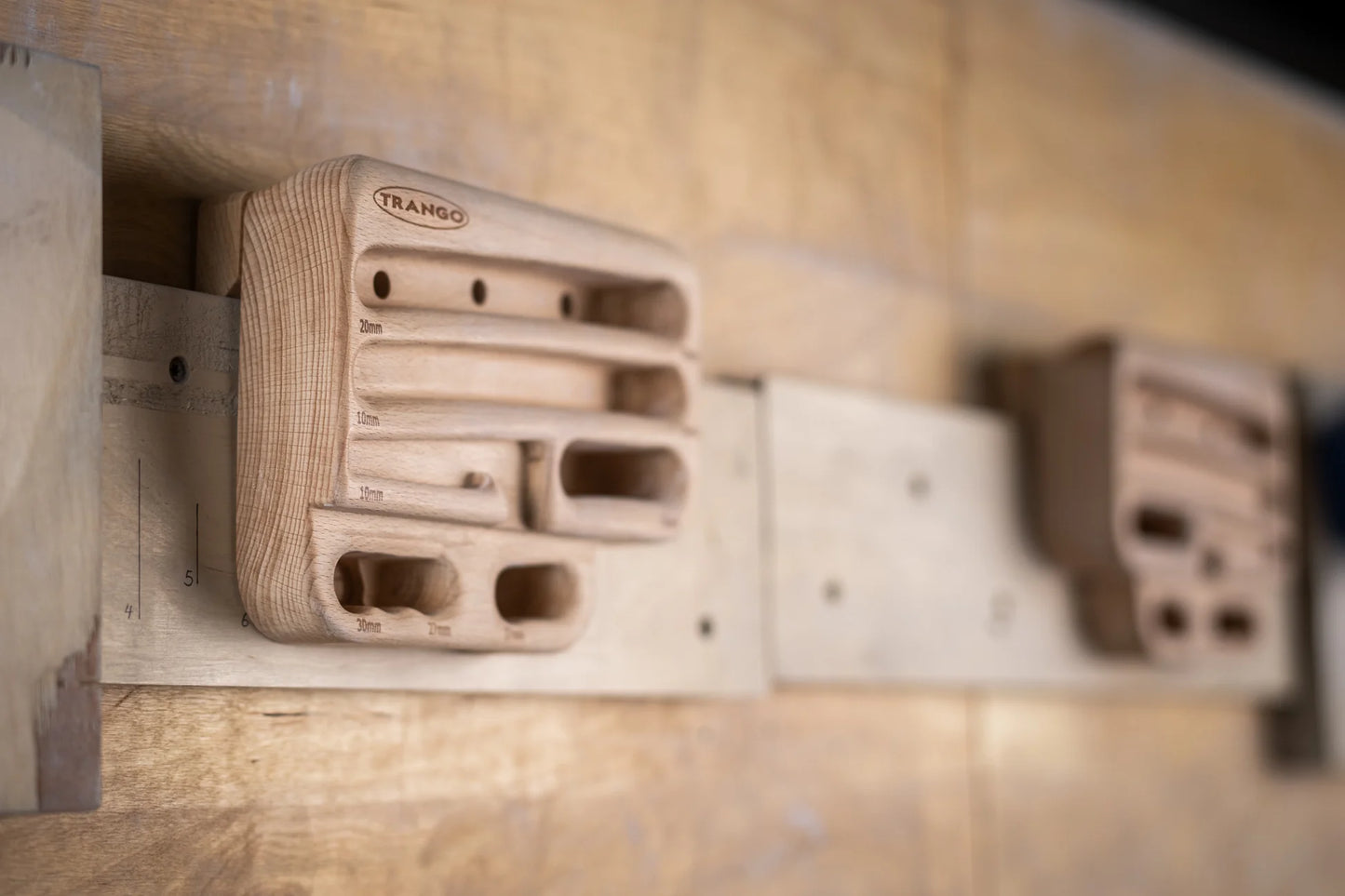 Trango Rock Prodigy Natural Hangboard