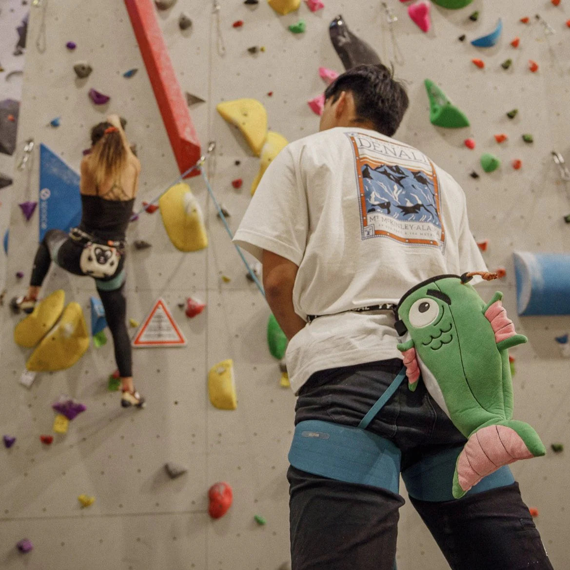 Chalkbag Fish-YY Vertical-Max Climbing