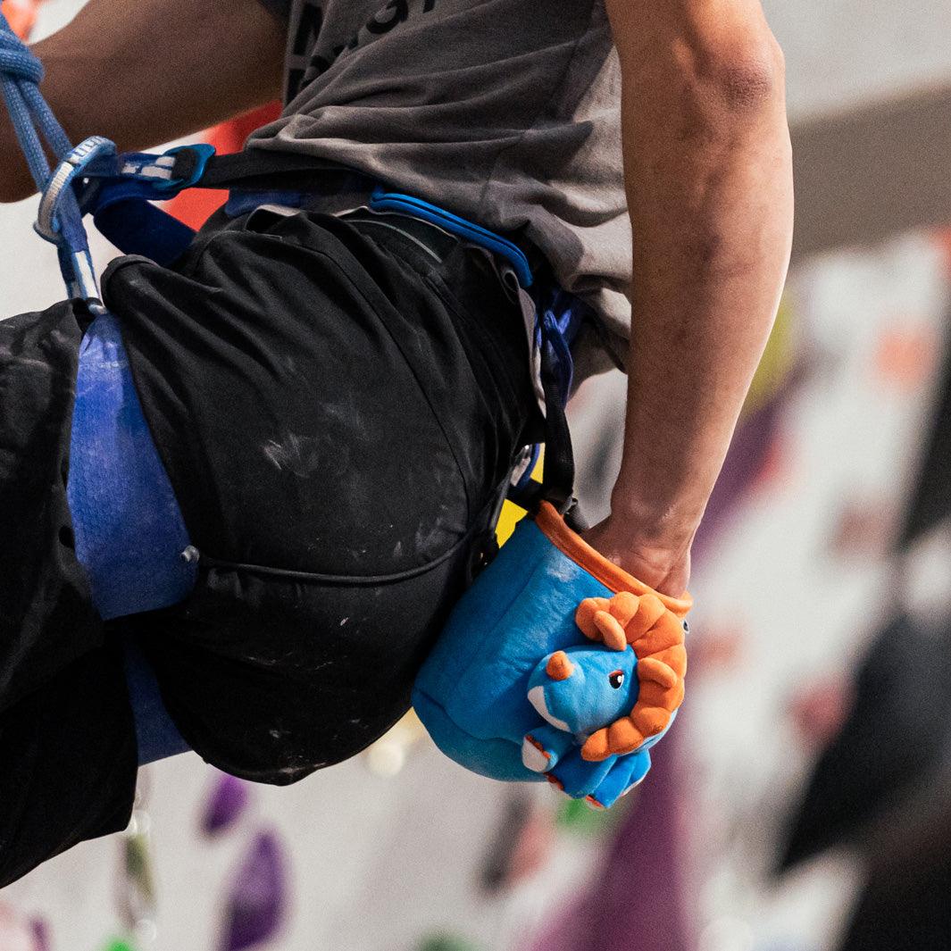 YY Vertical Chalkbag Triceratops - fun chalk bag - Max Climbing