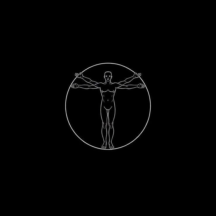 Finger Structure for Climbers: Bones, Tendons & Pulleys (Simple Overview)