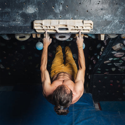 Verticalboard Evo - Max Climbing