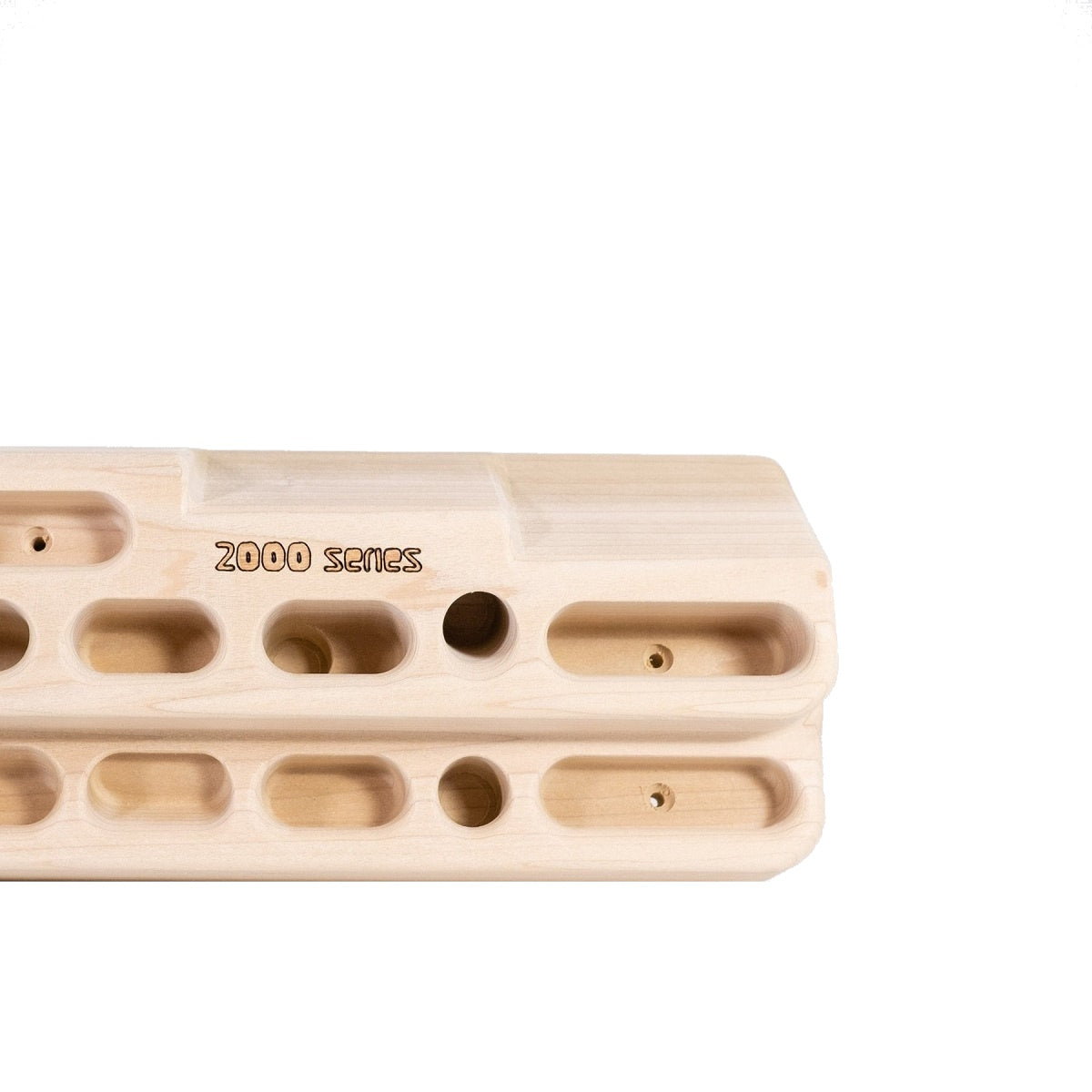 Beastmaker 2000 Series Hangboard