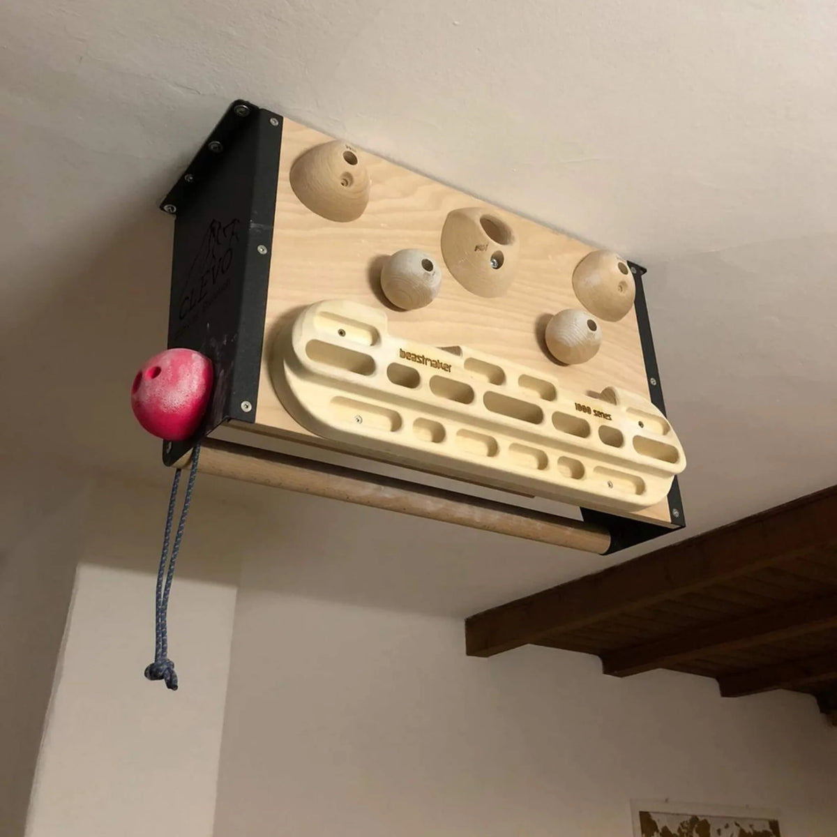 Clevo M — Ceiling Climbing Module