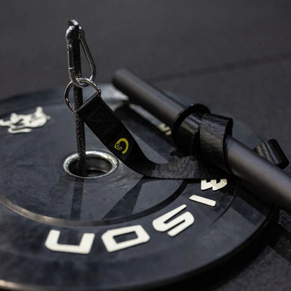 Golden Grip - Wrist roller, Grip Strength