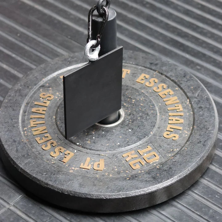Plate Pinch, Grip Strength