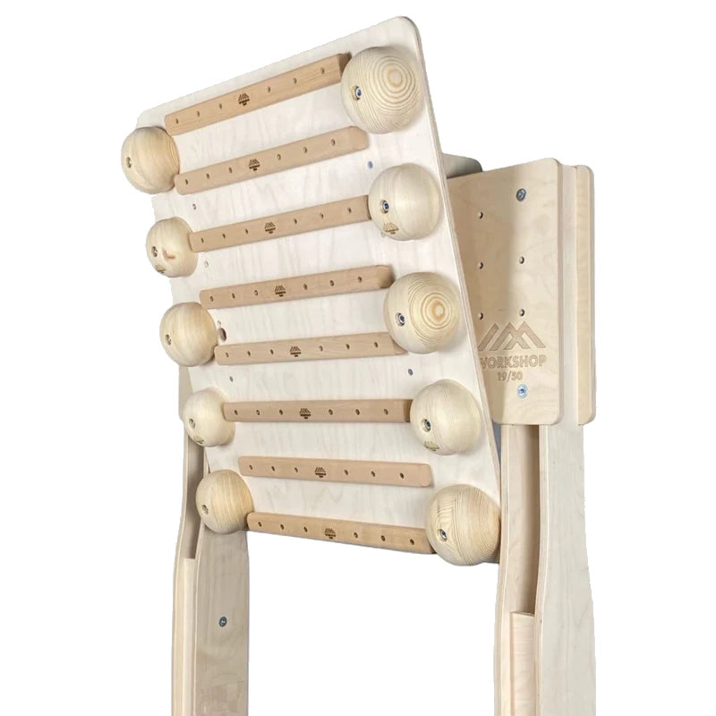 Campus Board Add-On for Training Rack