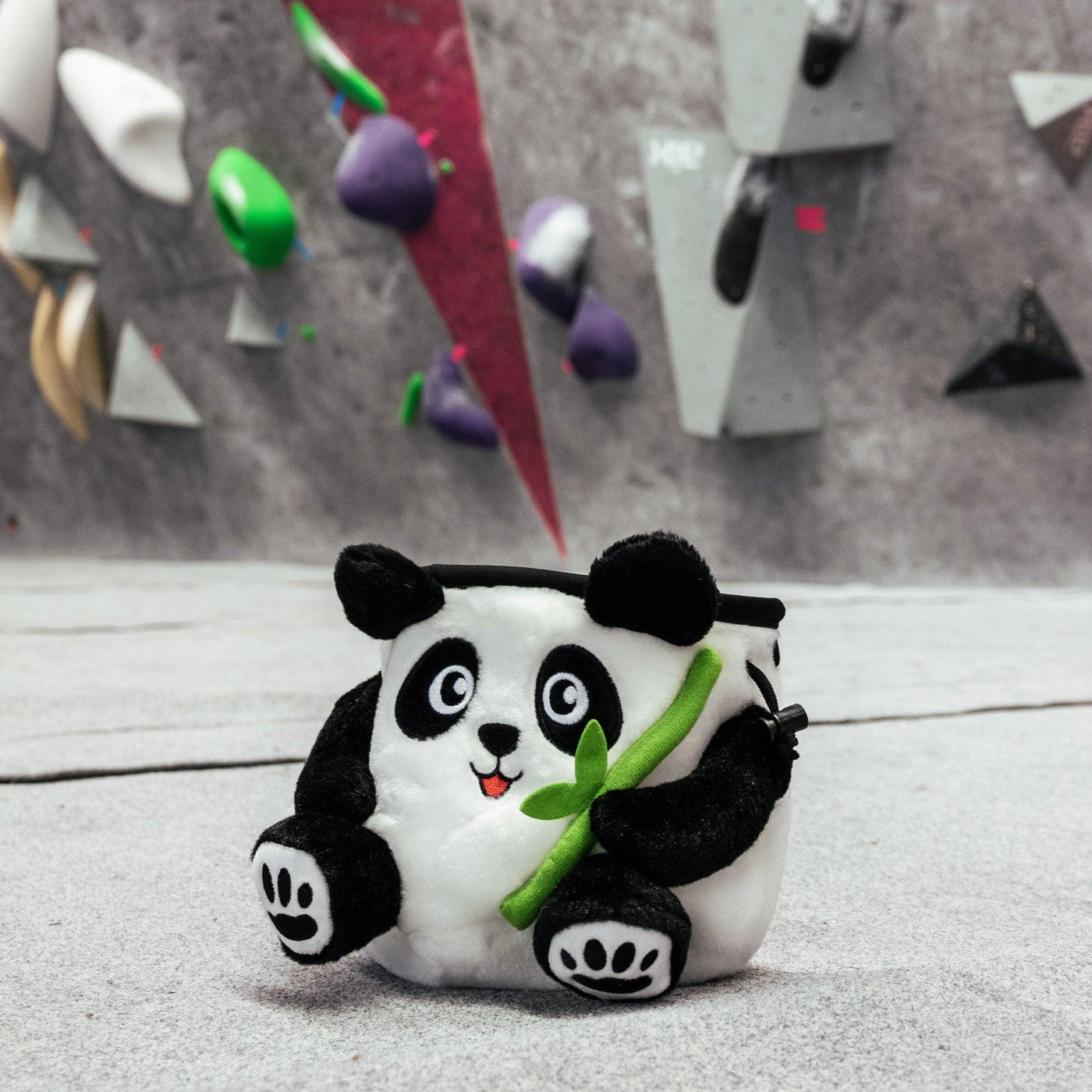 Chalkbag Panda-used for climbing - Max Climbing