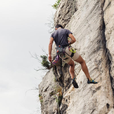 Chalkbag Cat - Max Climbing