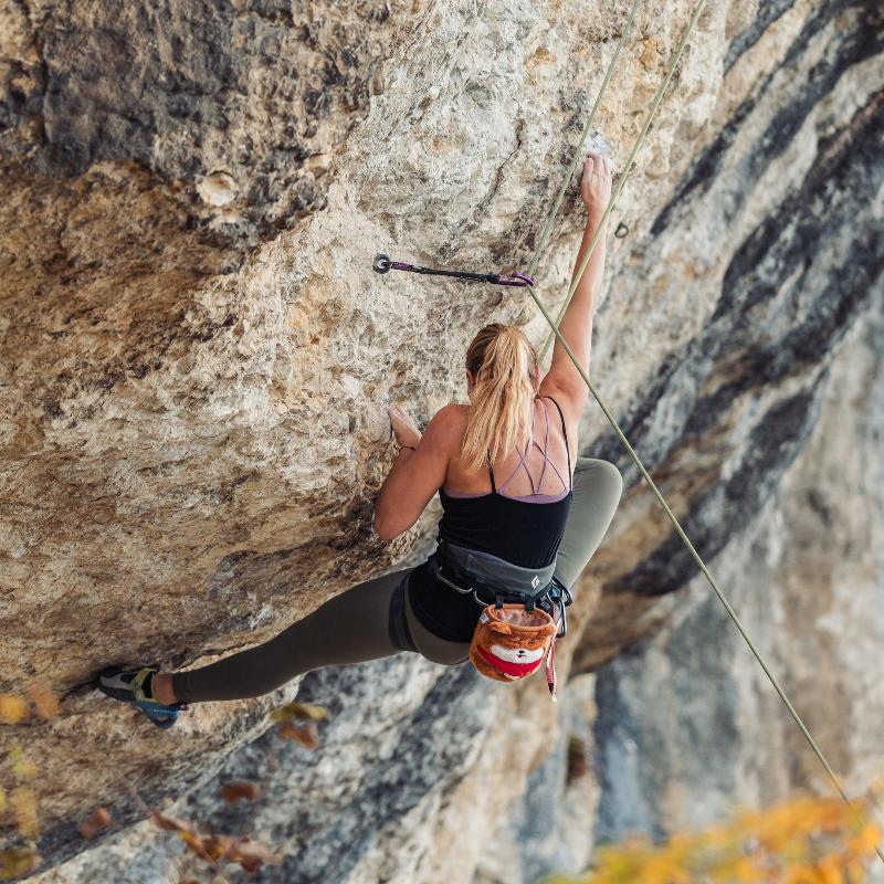 Chalkbag Dog - Max Climbing