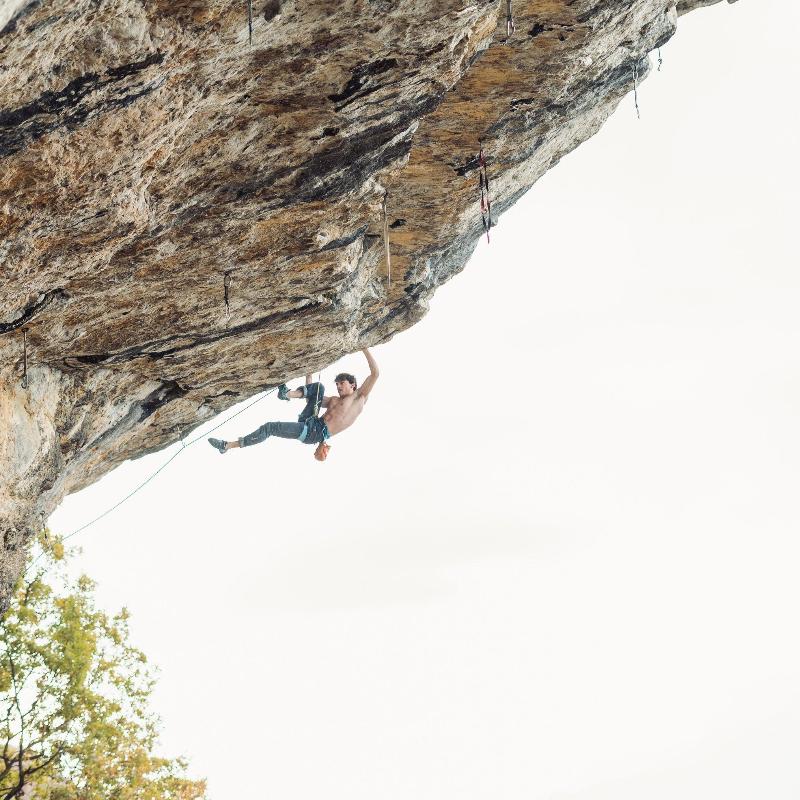 Cane con sacchetto di gesso - Max Climbing